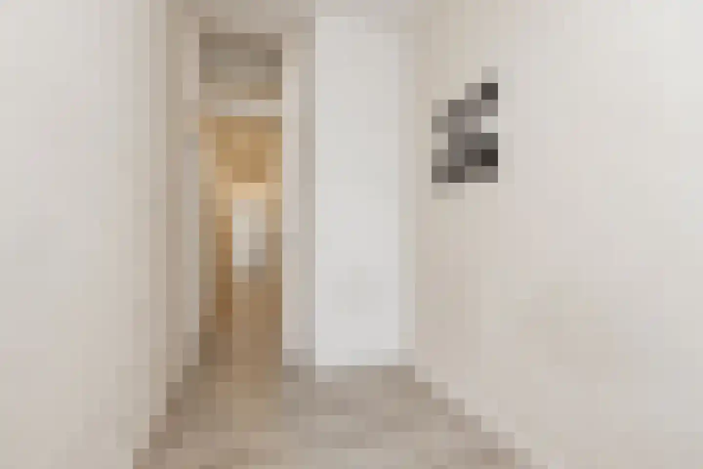 Luijbenstraat 22 's-Hertogenbosch thumbnail 20