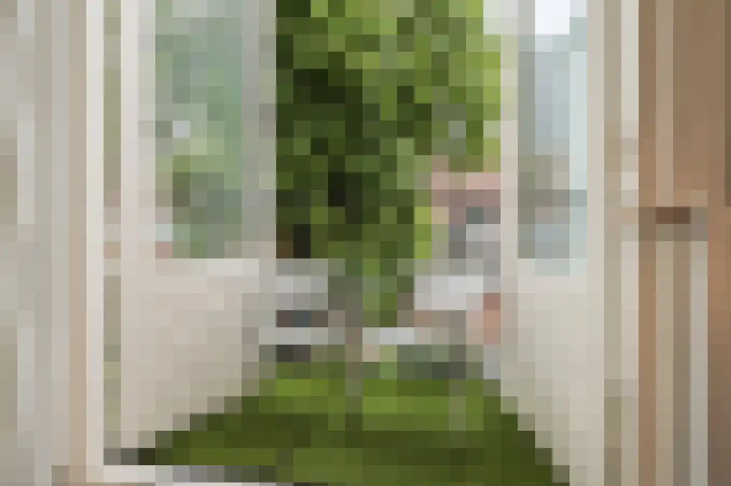Luijbenstraat 22 's-Hertogenbosch thumbnail 25