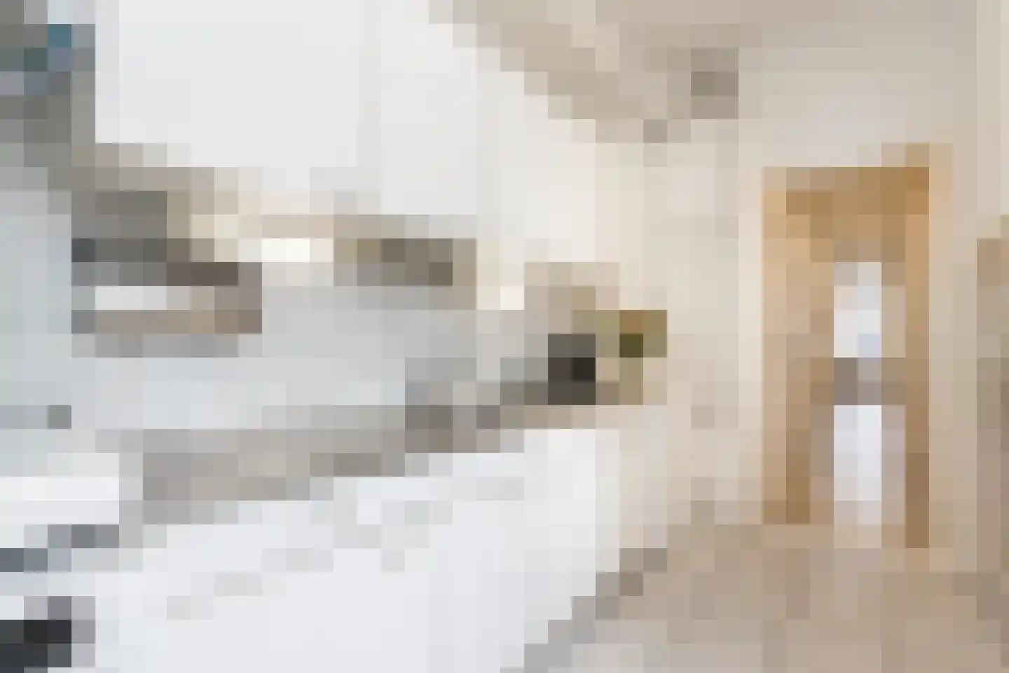 Luijbenstraat 22 's-Hertogenbosch thumbnail 27