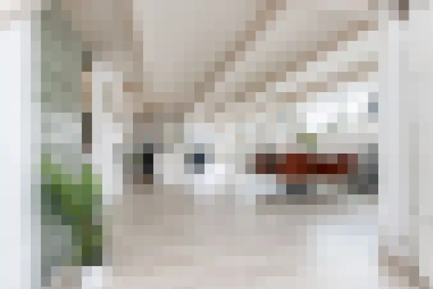 Luijbenstraat 22 's-Hertogenbosch thumbnail 43