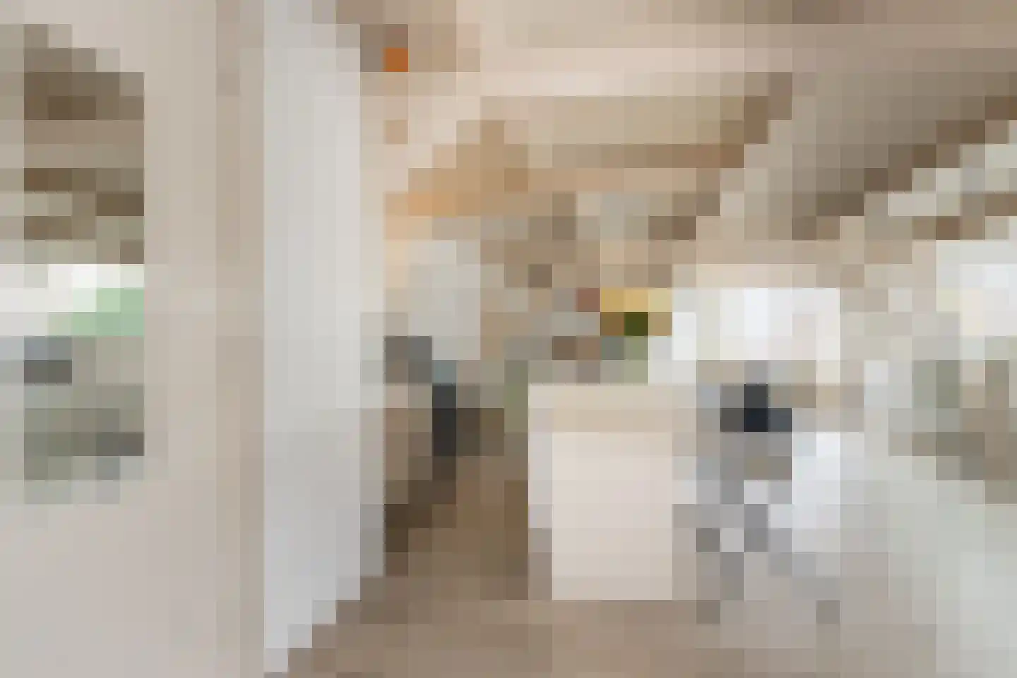 Luijbenstraat 22 's-Hertogenbosch thumbnail 44