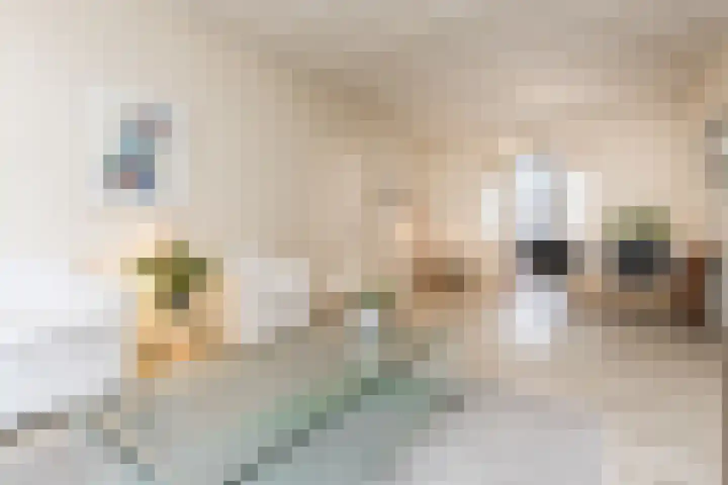 Luijbenstraat 22 's-Hertogenbosch thumbnail 8