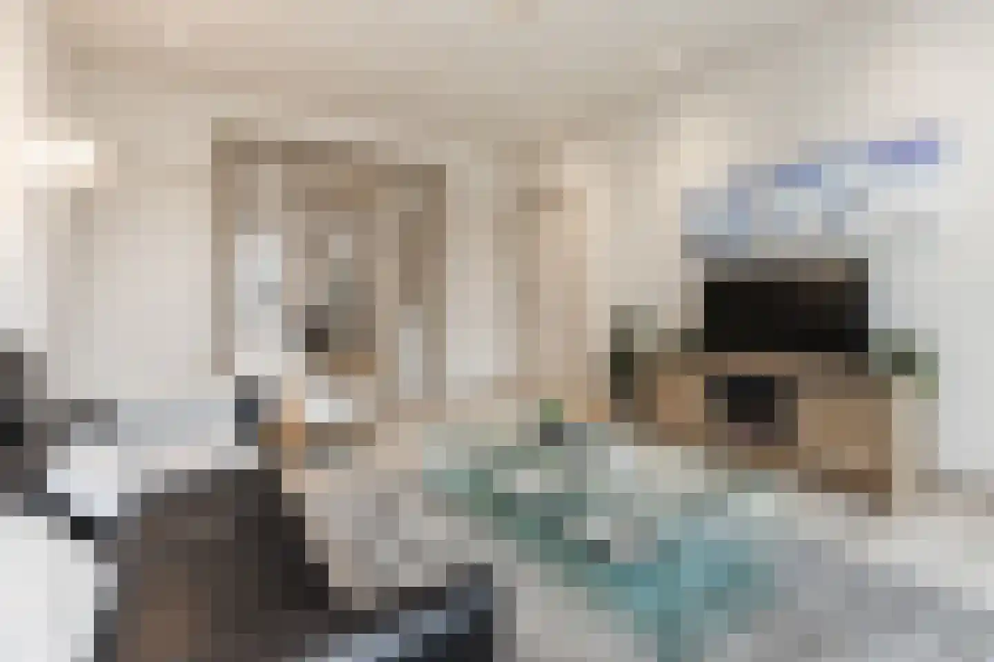 Luijbenstraat 22 's-Hertogenbosch thumbnail 8