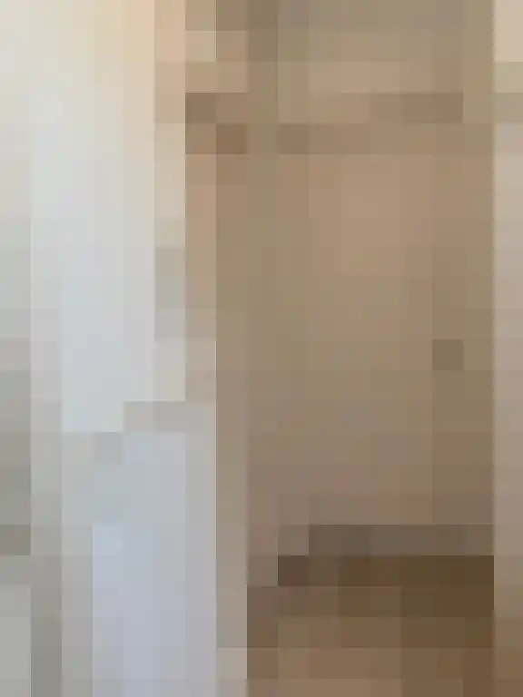 Luijbenstraat 24 's-Hertogenbosch thumbnail 5