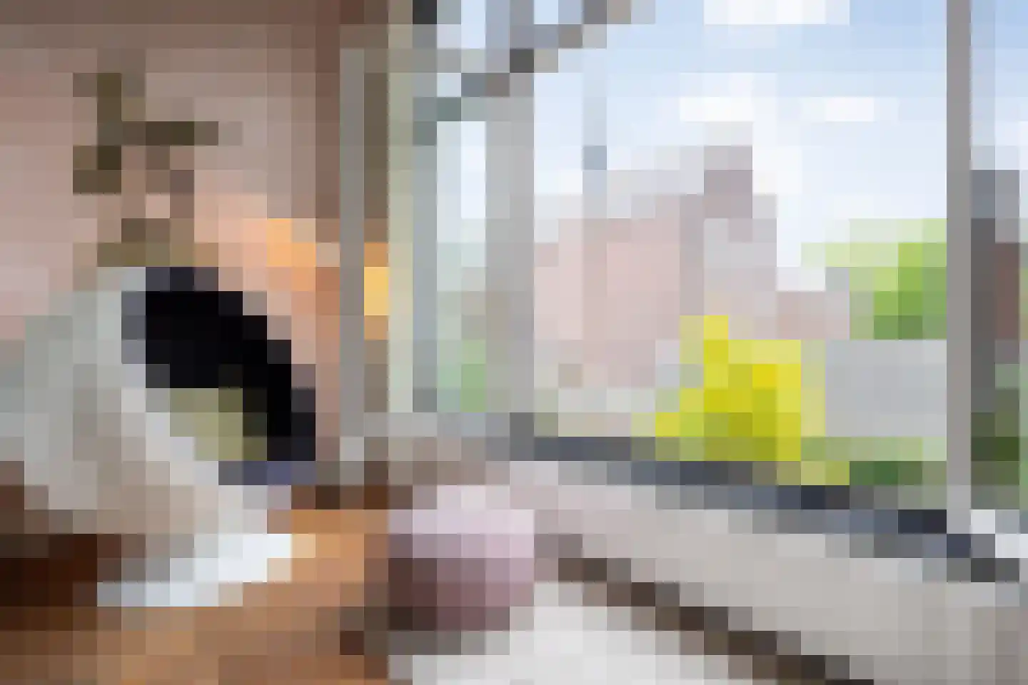 Luijbenstraat 40 's-Hertogenbosch thumbnail 16