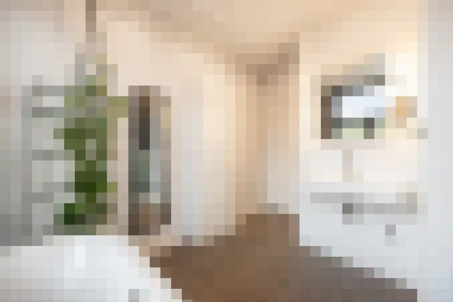 Luijbenstraat 40 's-Hertogenbosch thumbnail 37