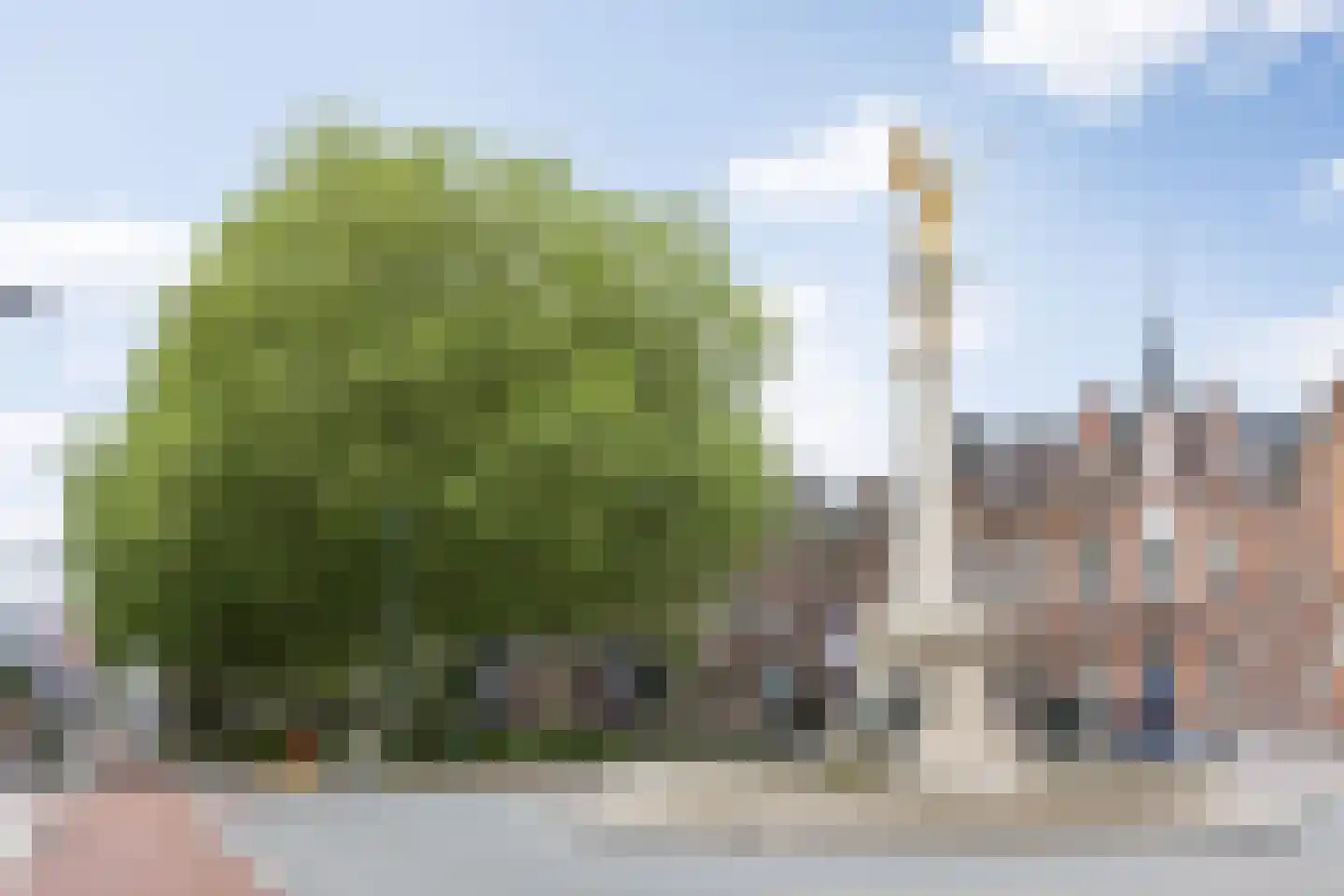Luijbenstraat 40 's-Hertogenbosch thumbnail 47