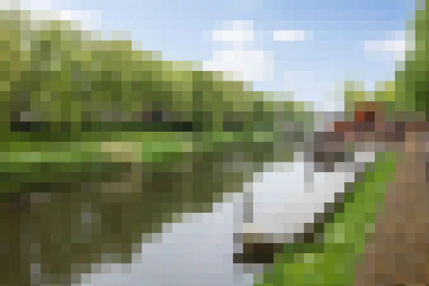 Luijbenstraat 40 's-Hertogenbosch thumbnail 50