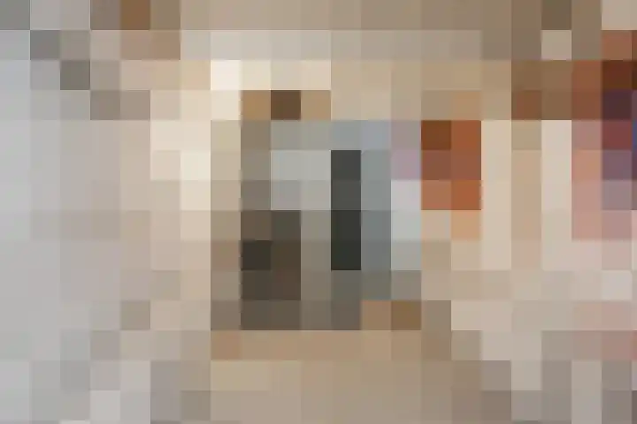 Luijbenstraat 5 's-Hertogenbosch thumbnail 13