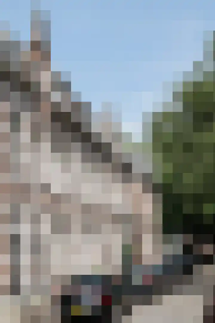 Luijbenstraat 5 's-Hertogenbosch thumbnail 33