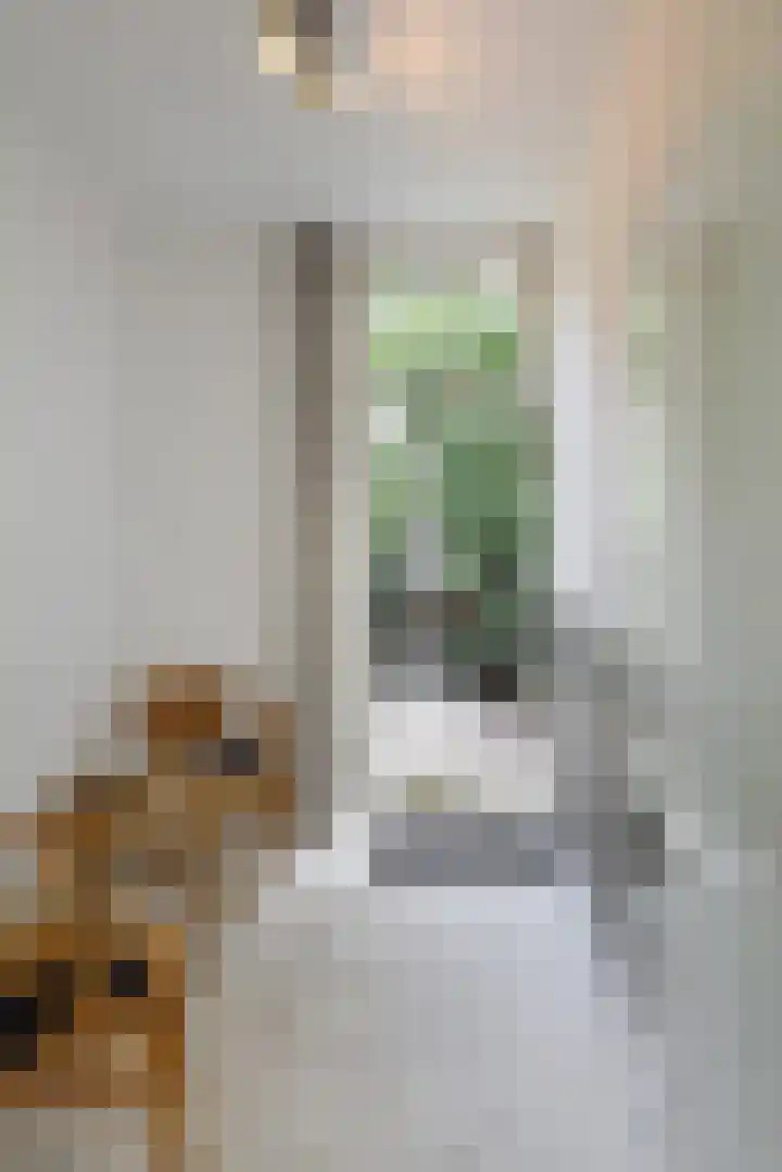 Luijbenstraat 5 's-Hertogenbosch thumbnail 8