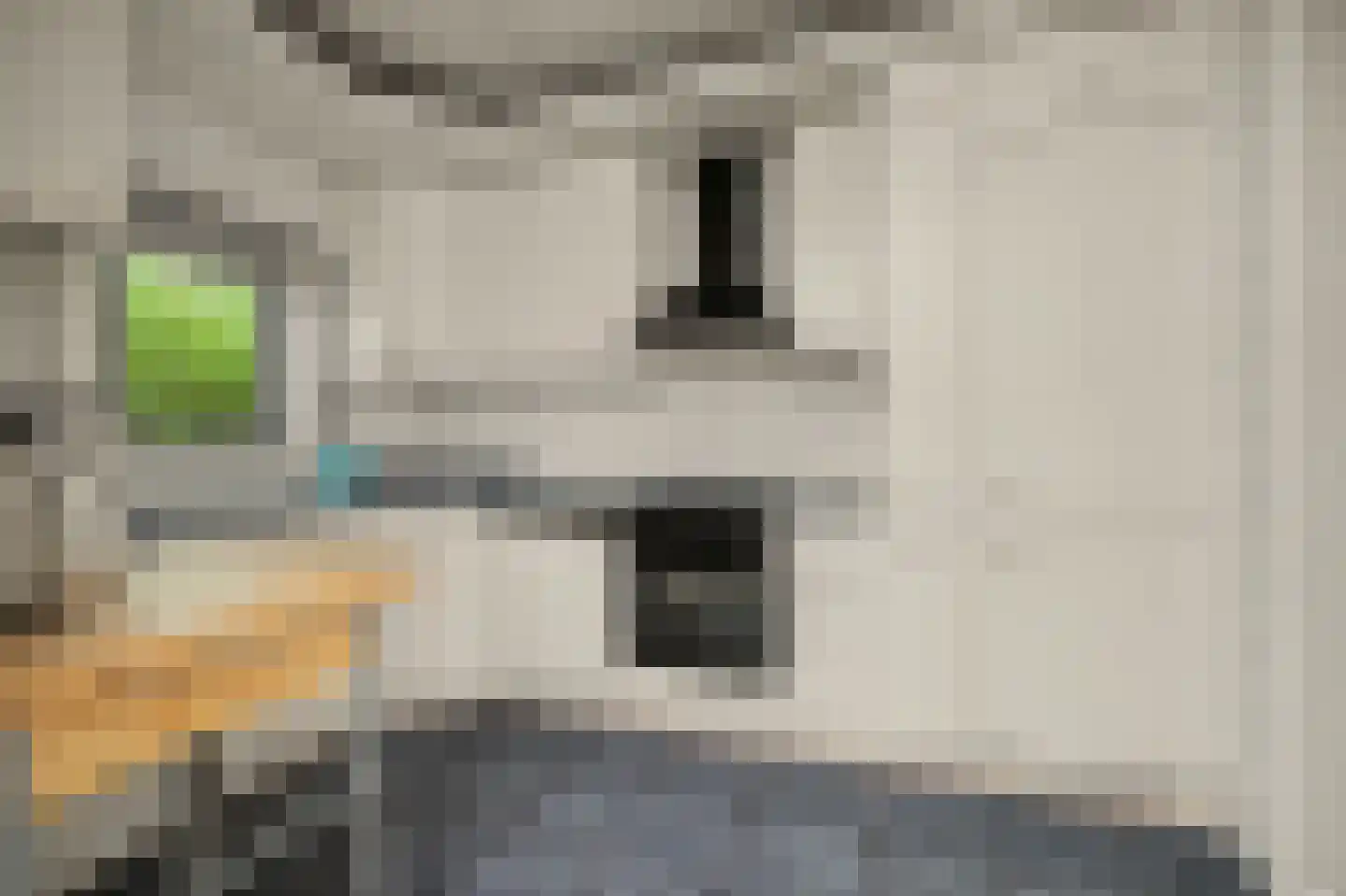 Luijksberglaan 12 Serooskerke thumbnail 22