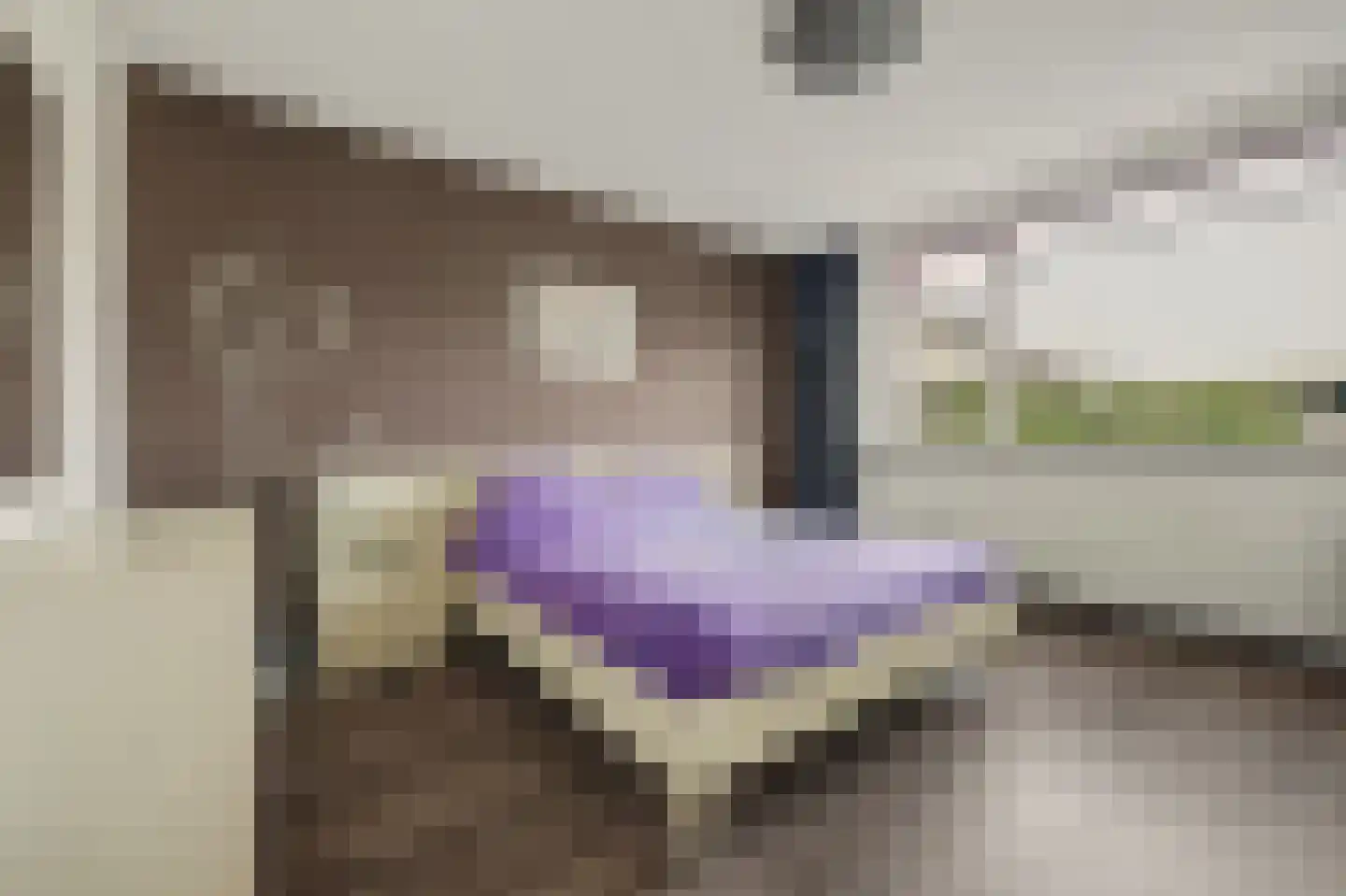 Luijksberglaan 12 Serooskerke thumbnail 26