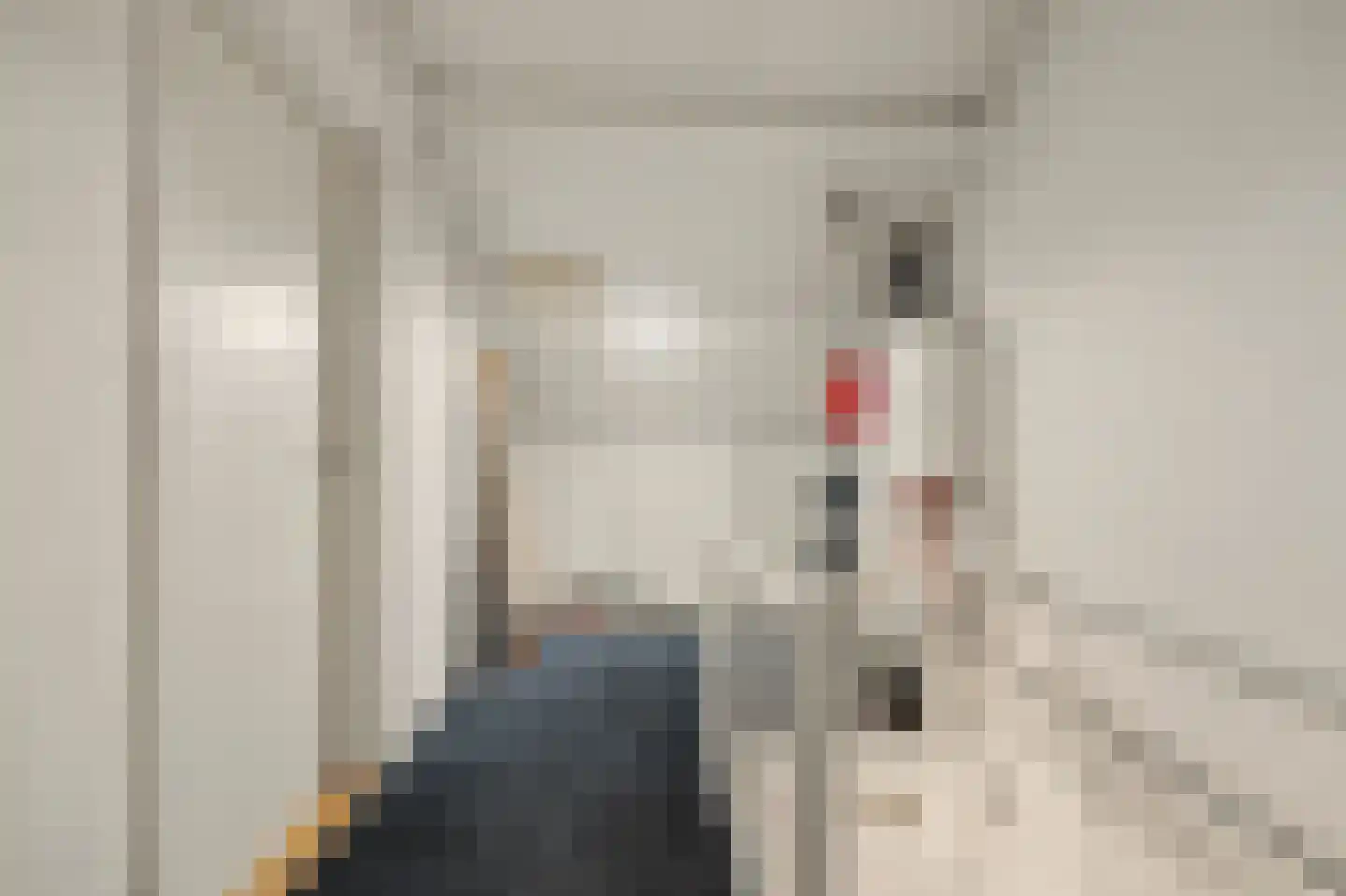 Luijksberglaan 12 Serooskerke thumbnail 32
