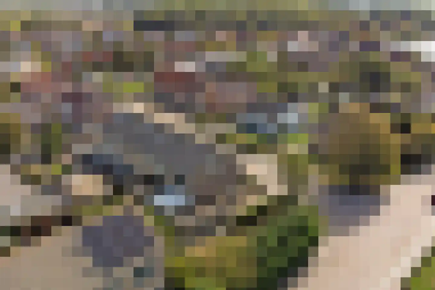 Luijksberglaan 12 Serooskerke thumbnail 46