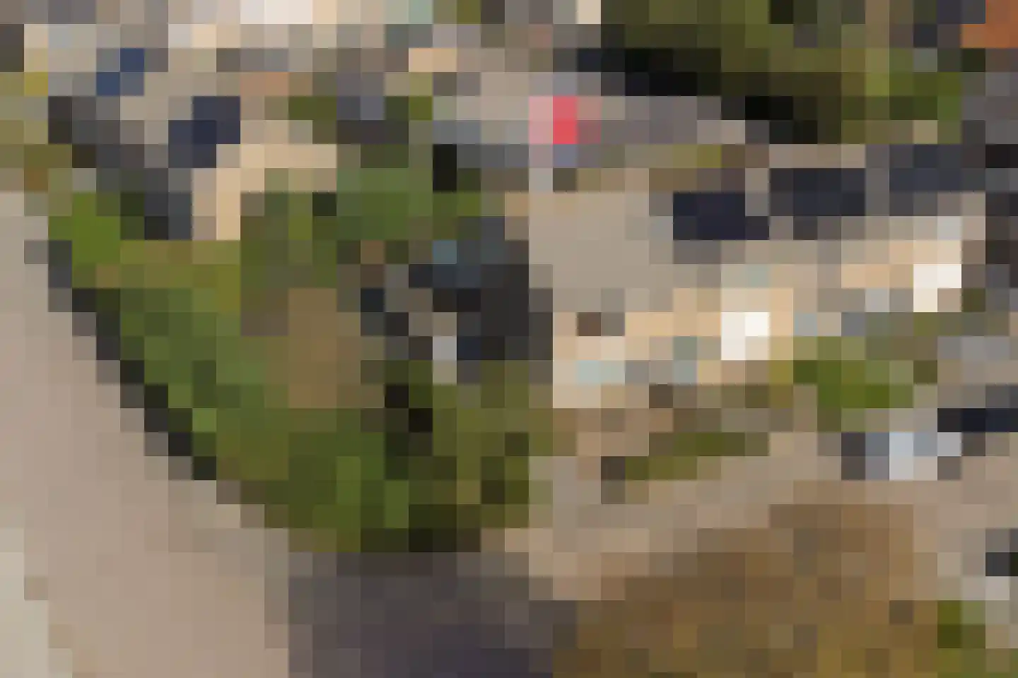 Luijksberglaan 12 Serooskerke thumbnail 48