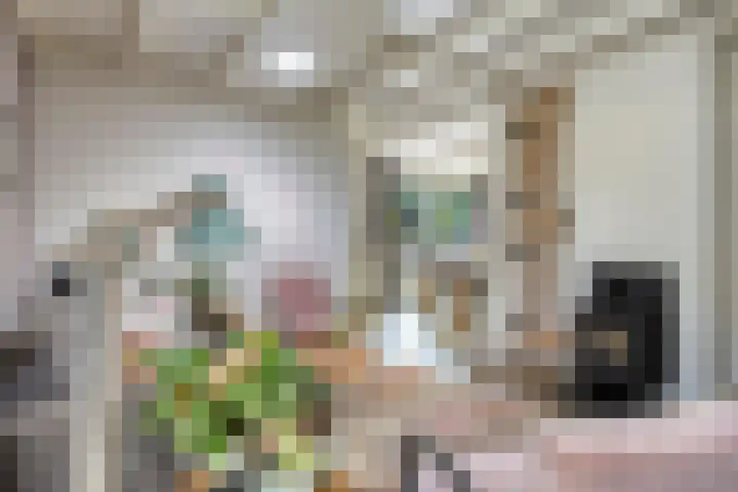 Luijtenbroek 81 Schaijk thumbnail 10
