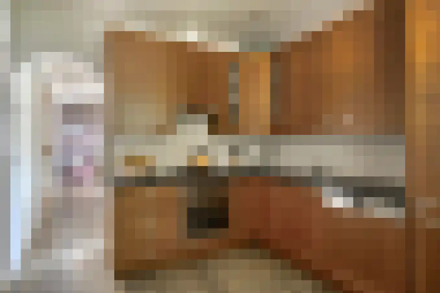 Luijtenbroek 81 Schaijk thumbnail 16