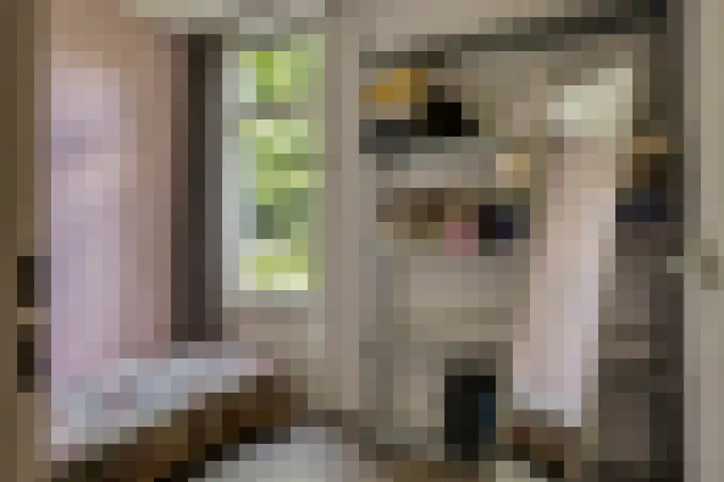 Luijtenbroek 81 Schaijk thumbnail 24