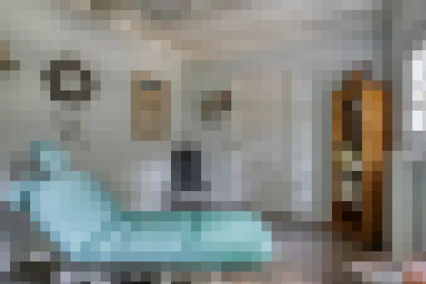 Luijtenbroek 81 Schaijk thumbnail 29