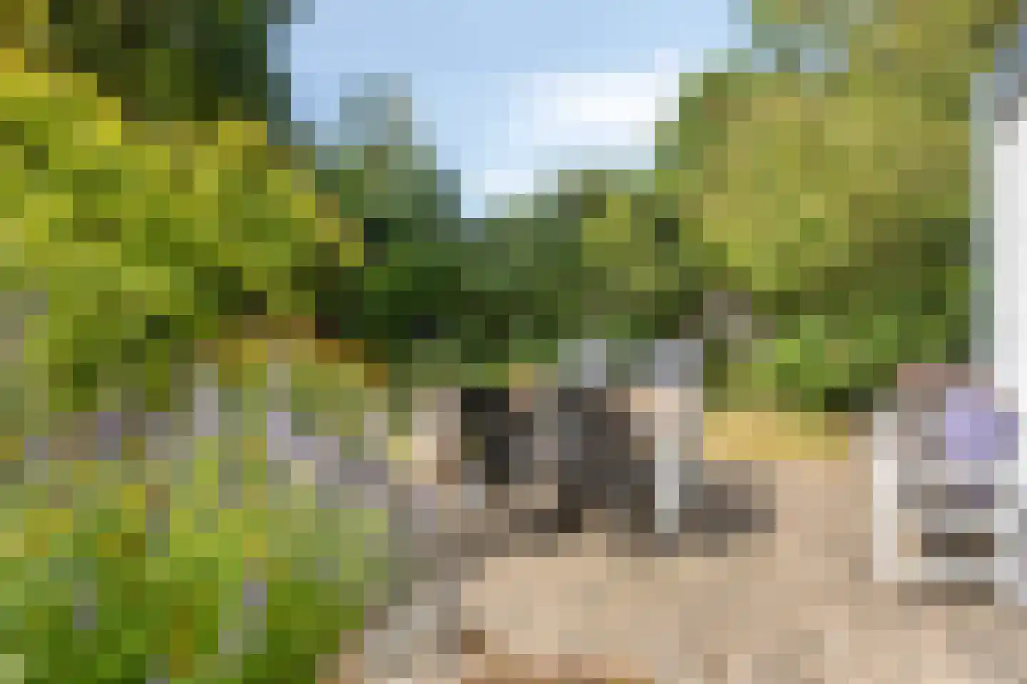 Luijtenbroek 81 Schaijk thumbnail 30