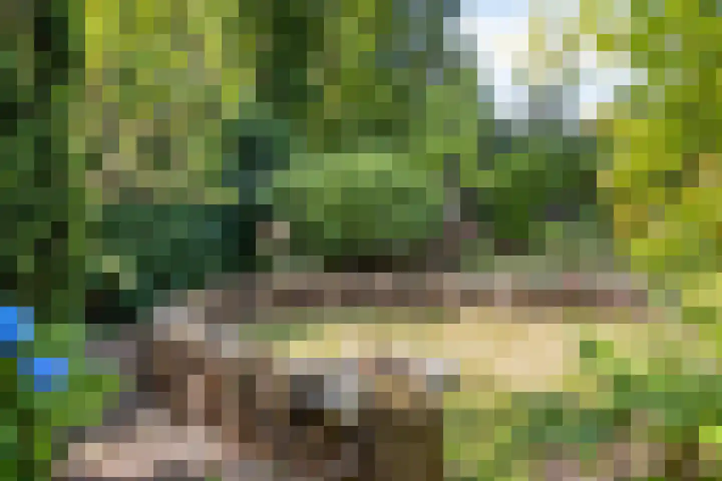 Luijtenbroek 81 Schaijk thumbnail 31
