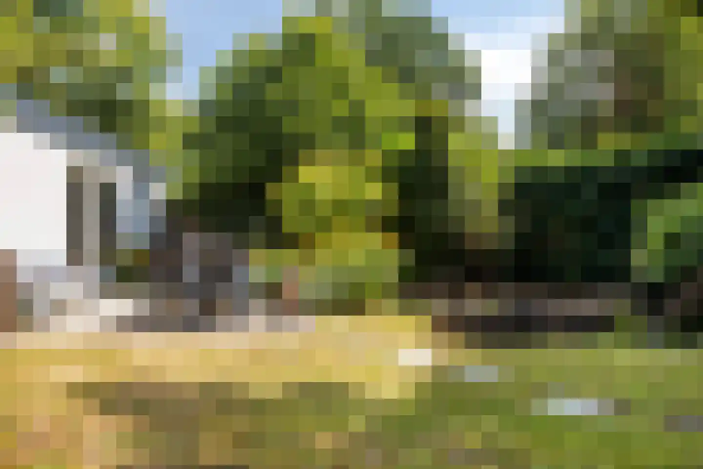 Luijtenbroek 81 Schaijk thumbnail 34