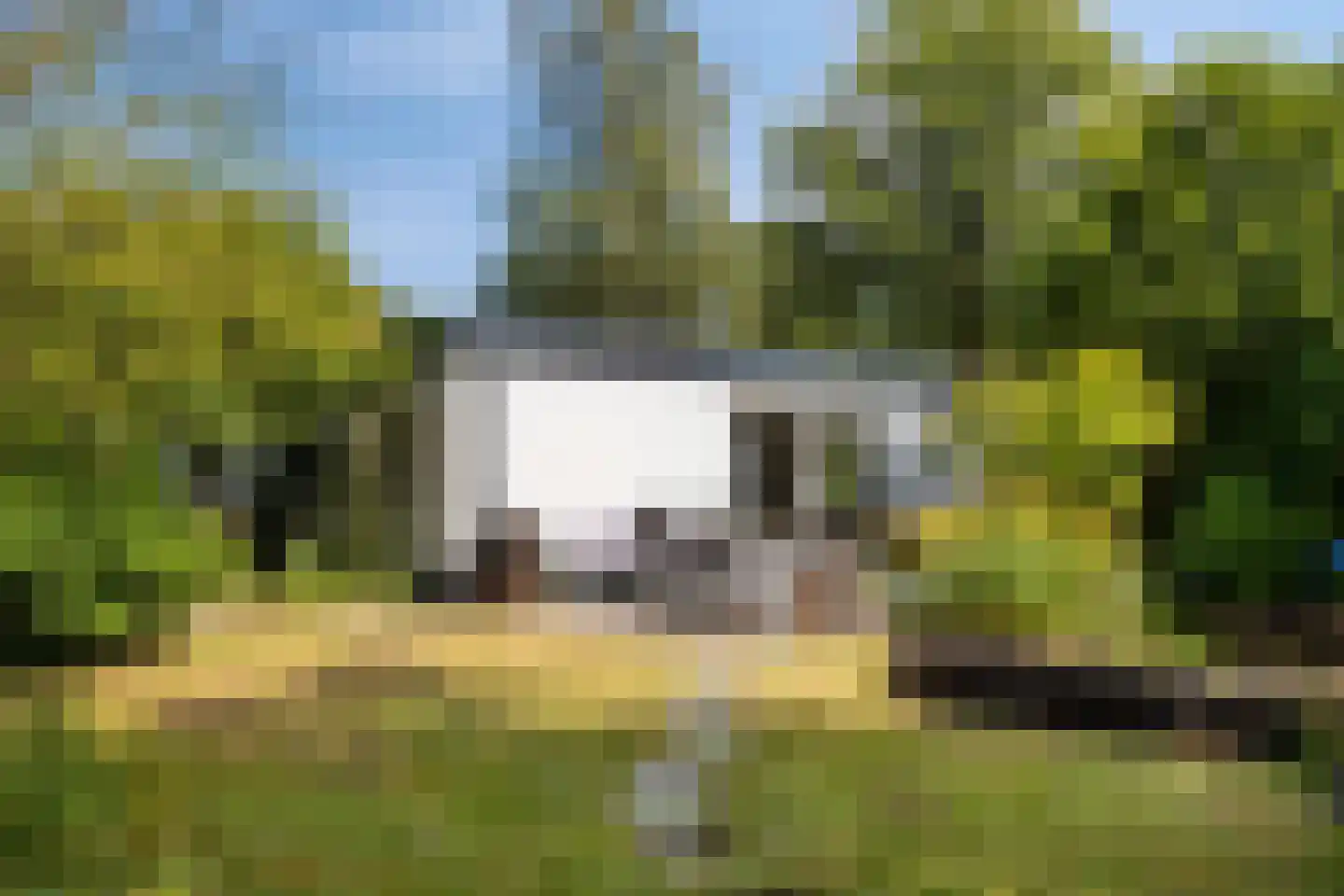 Luijtenbroek 81 Schaijk thumbnail 36