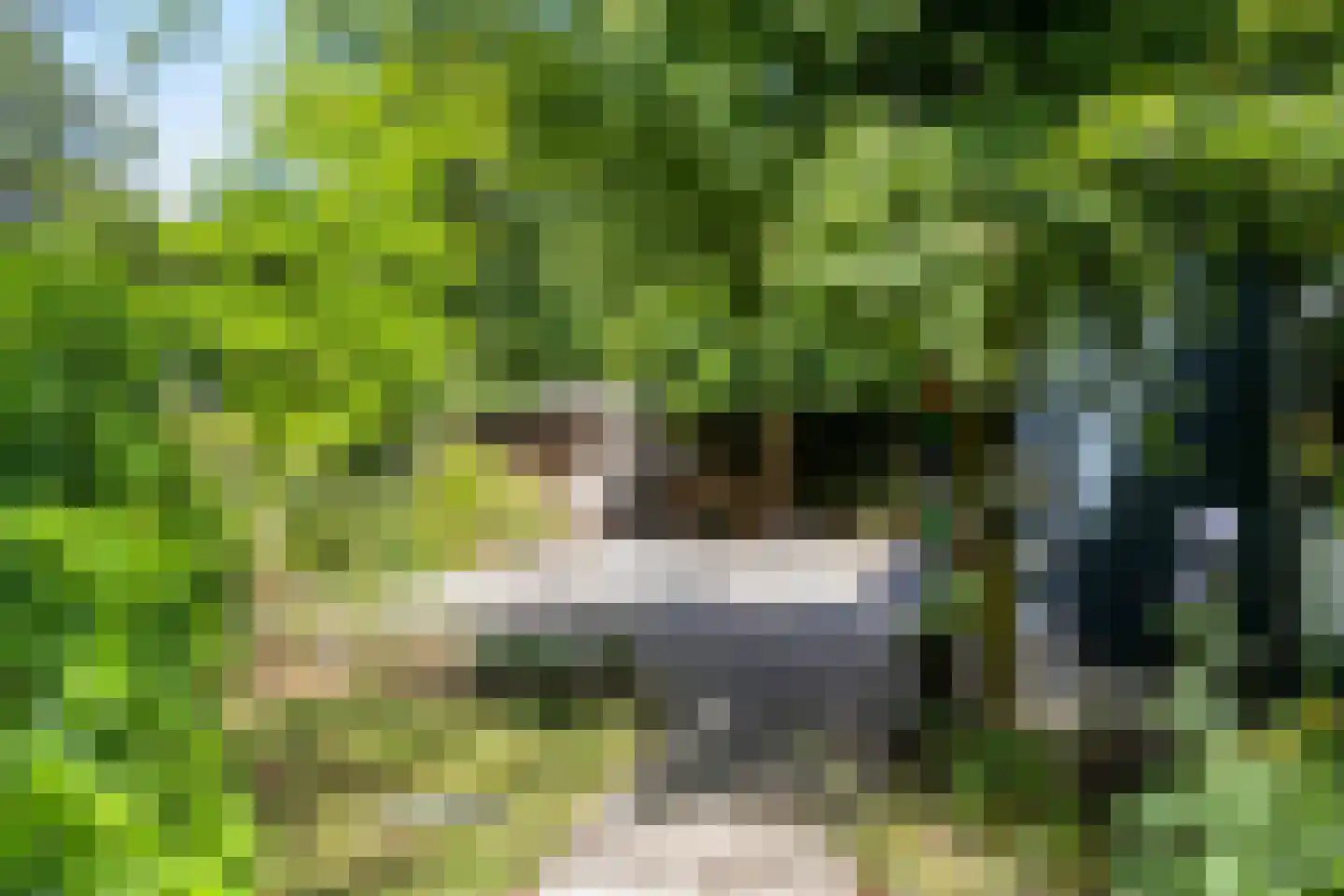 Luijtenbroek 81 Schaijk thumbnail 37