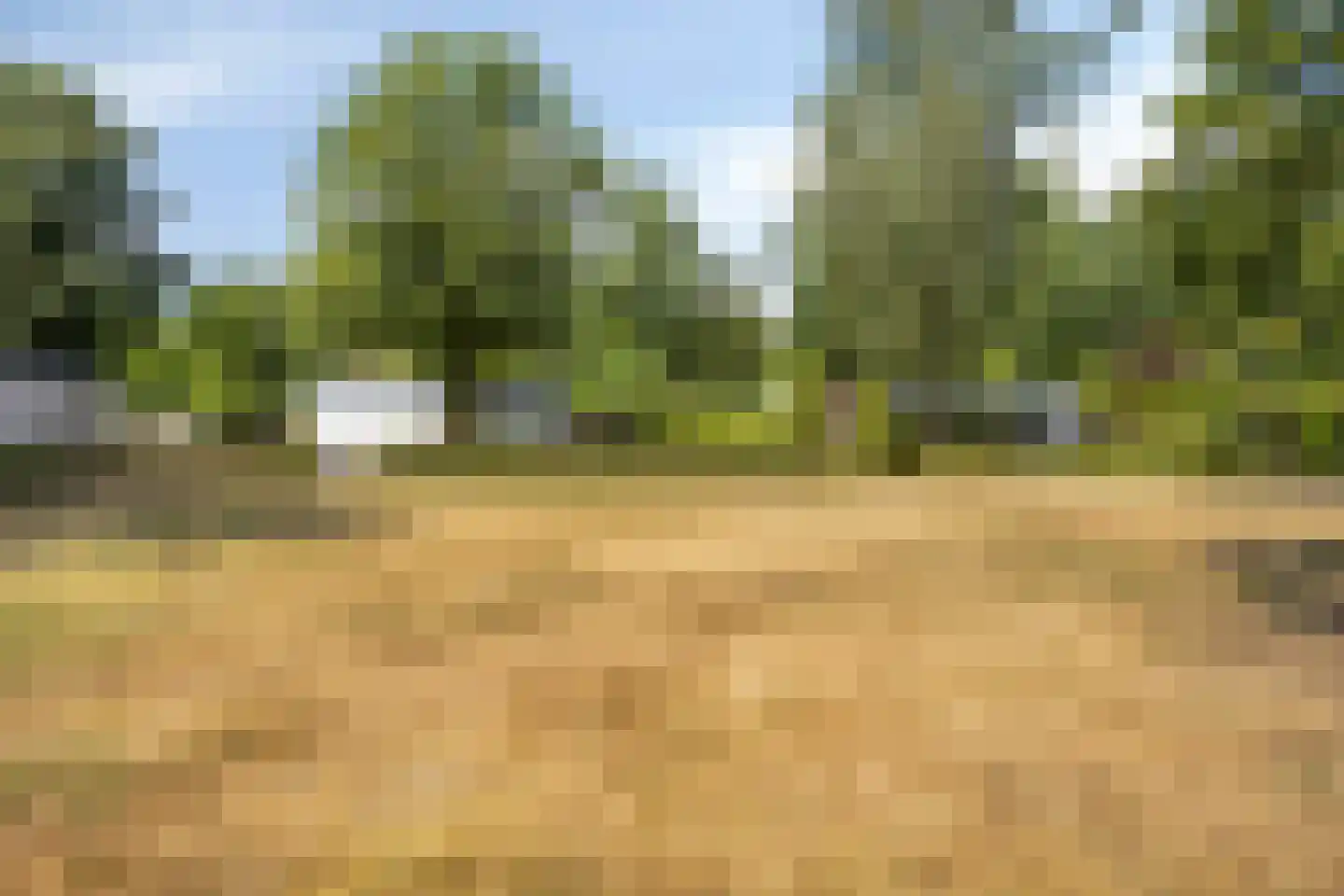 Luijtenbroek 81 Schaijk thumbnail 43