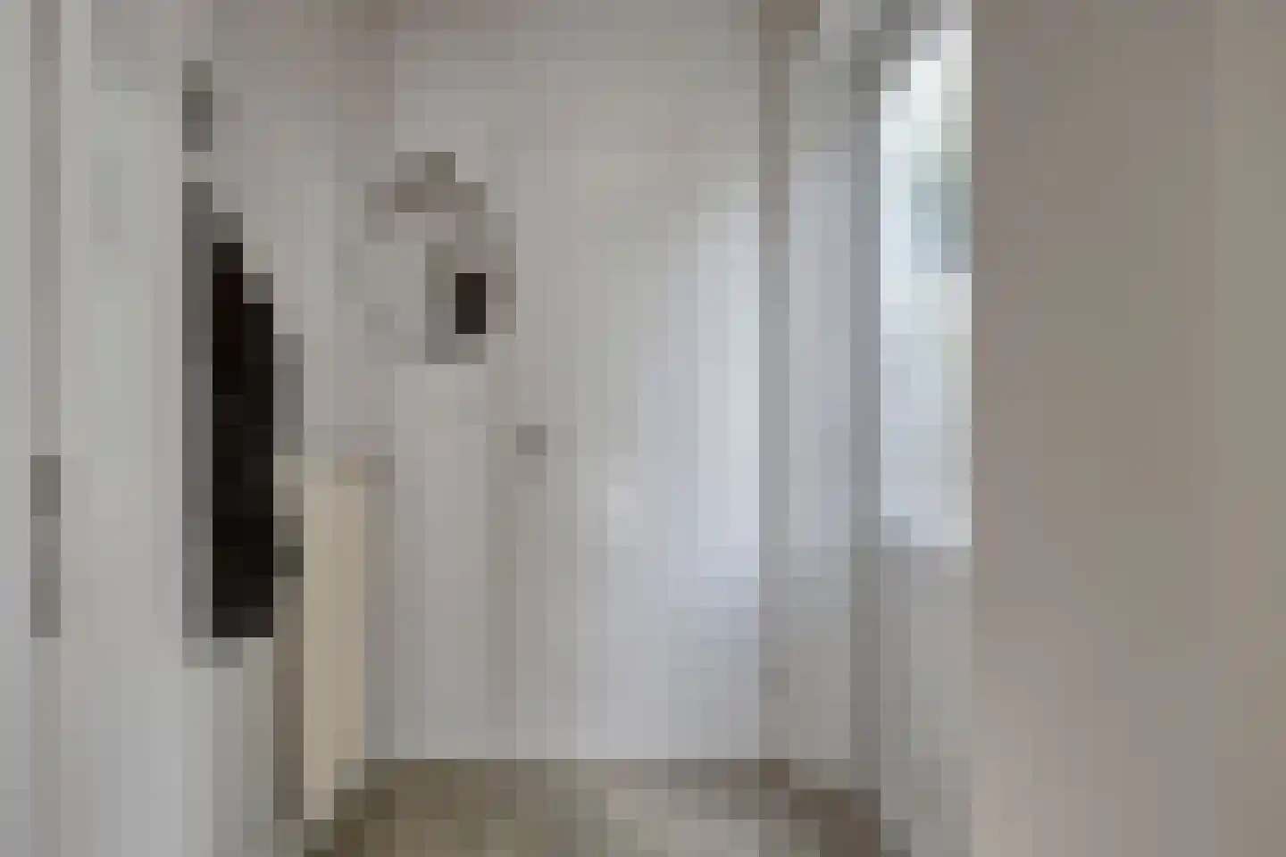 Luijtenbroek 81 Schaijk thumbnail 5