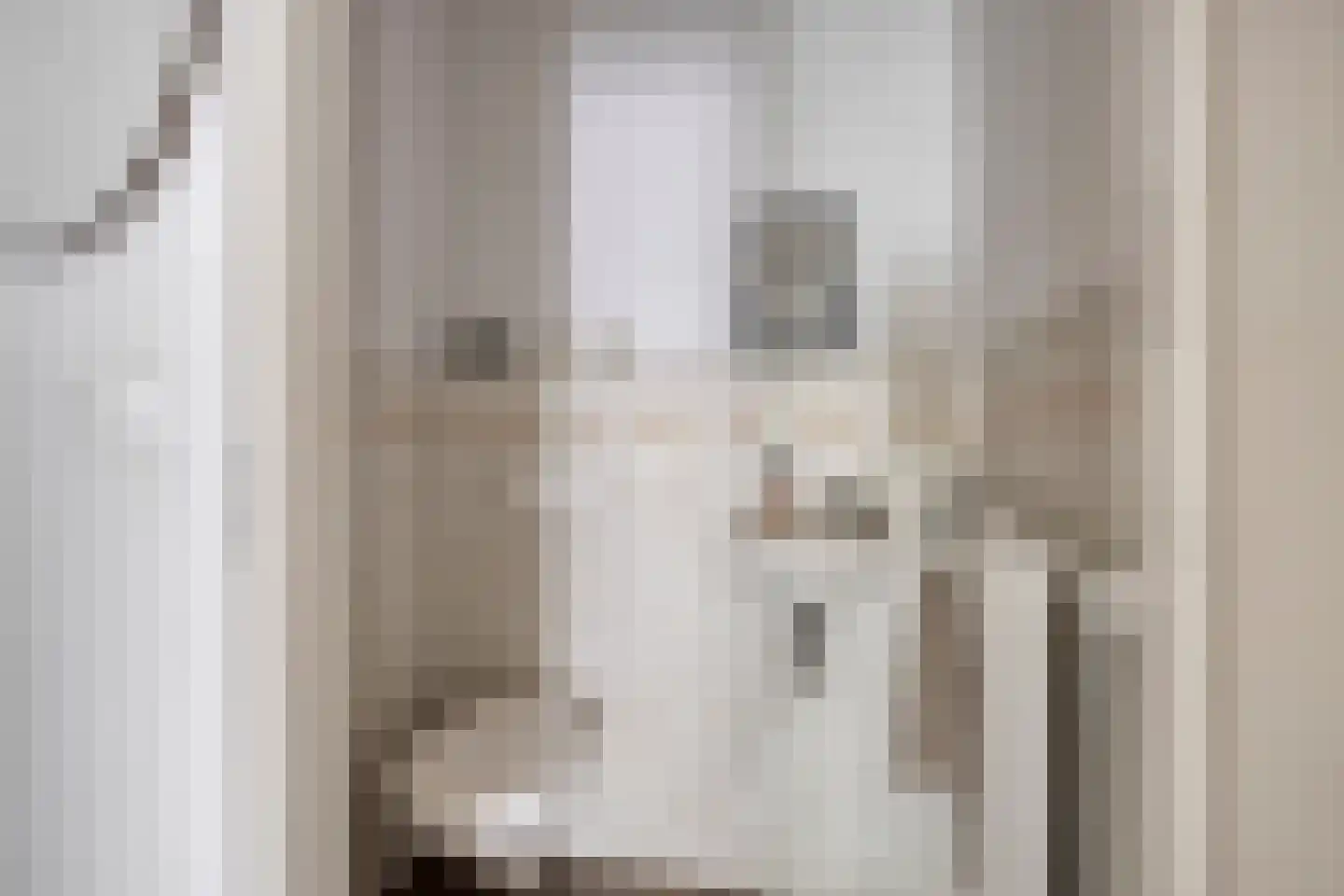 Luijtenbroek 81 Schaijk thumbnail 6