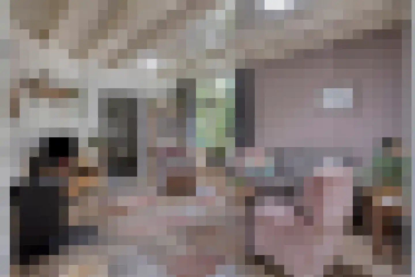 Luijtenbroek 81 Schaijk thumbnail 7