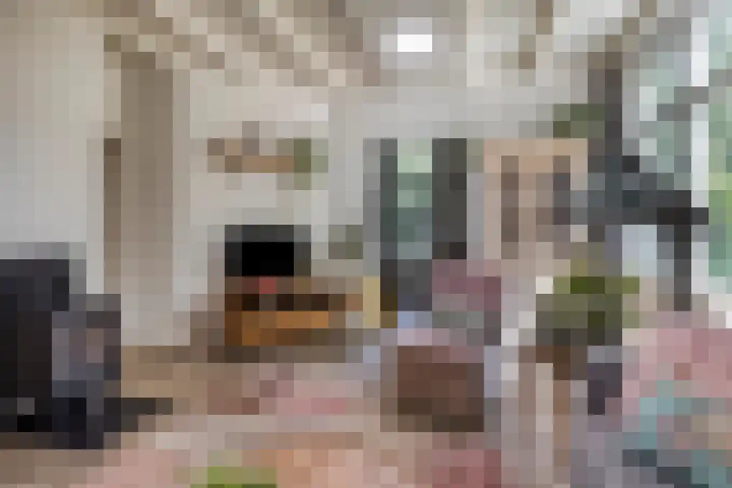 Luijtenbroek 81 Schaijk thumbnail 8