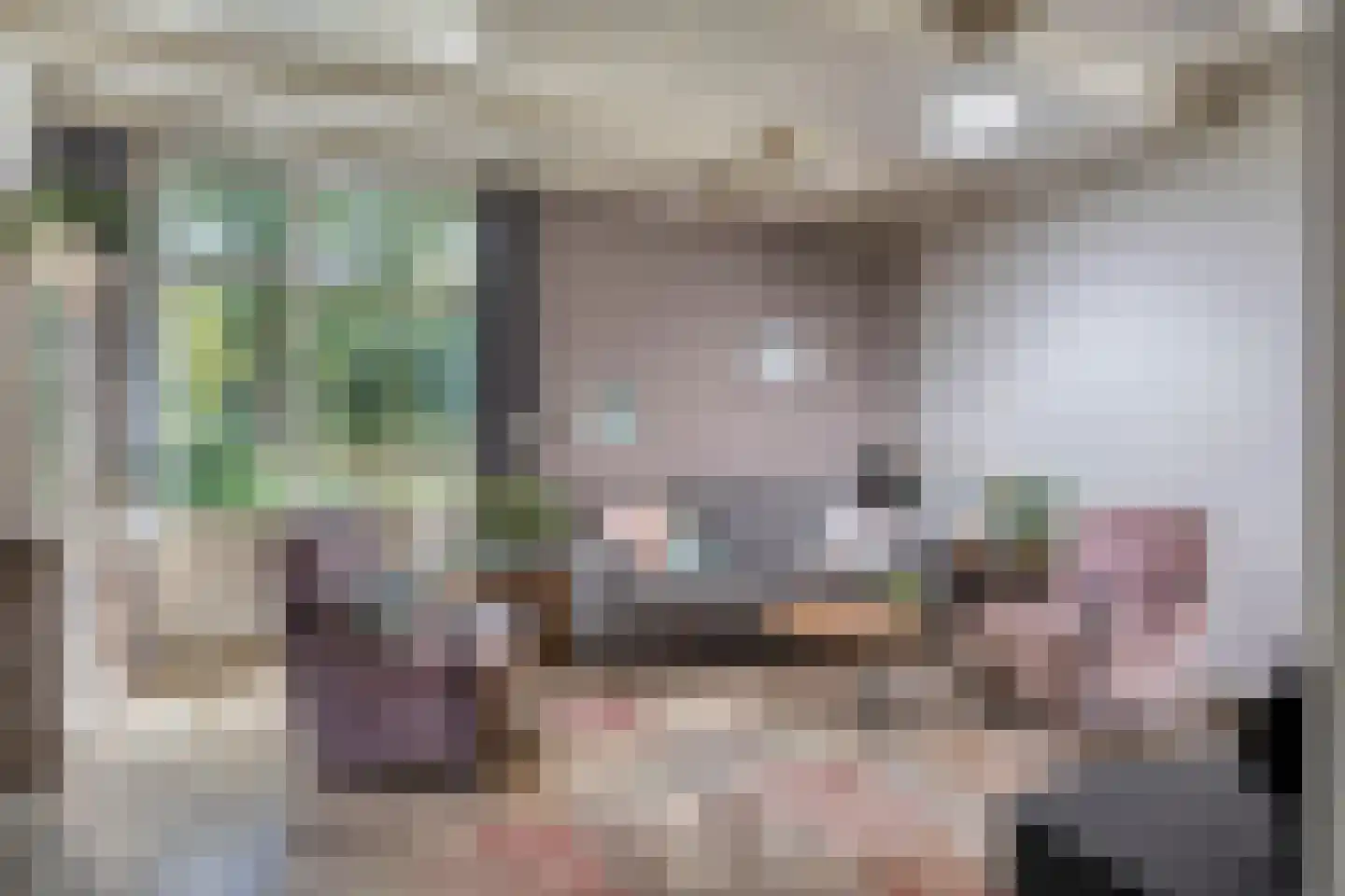 Luijtenbroek 81 Schaijk thumbnail 9