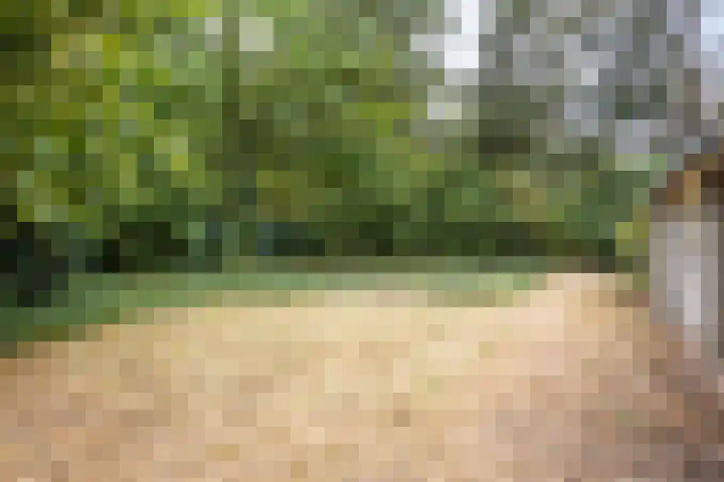 Luijtenbroek 97 Schaijk thumbnail 28