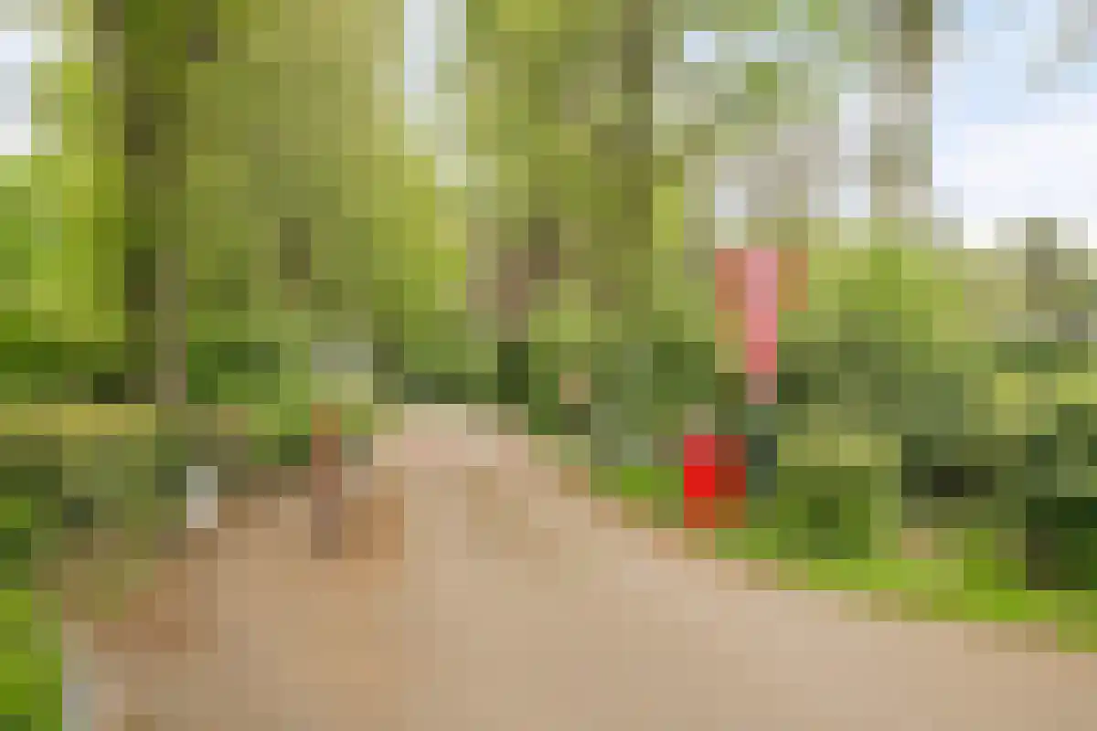 Luijtenbroek 97 Schaijk thumbnail 32