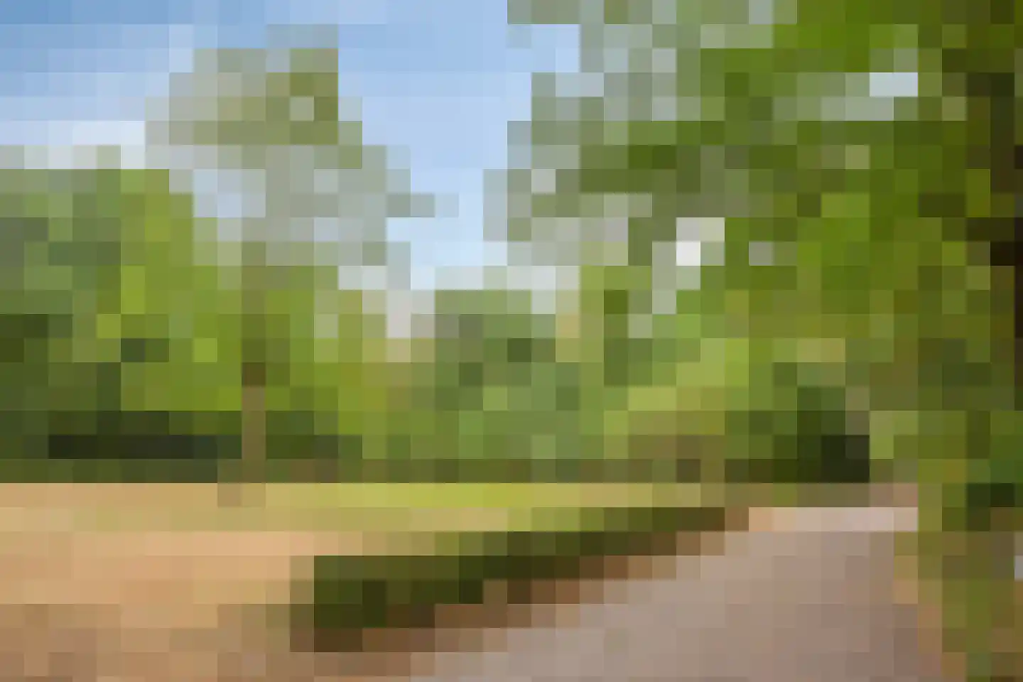 Luijtenbroek 97 Schaijk thumbnail 4
