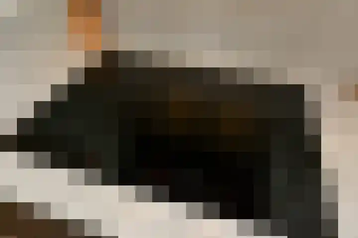 Luikap 1 Valburg thumbnail 14