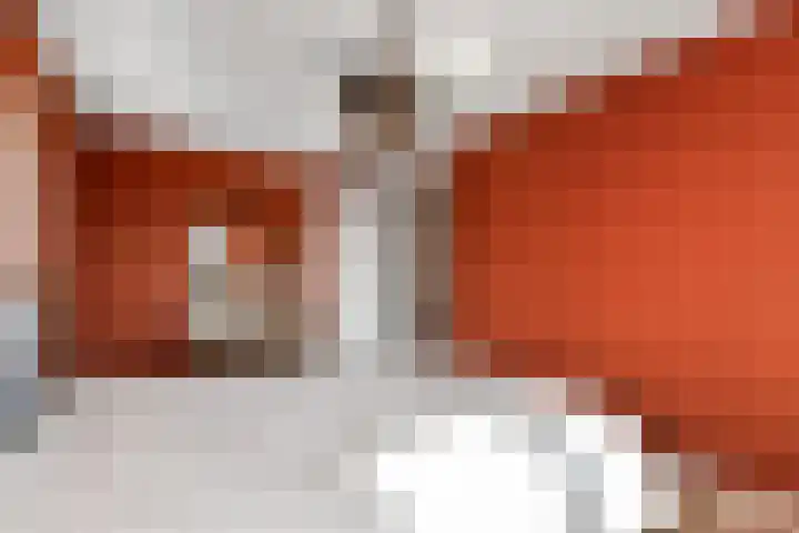 Luikap 1 Valburg thumbnail 19