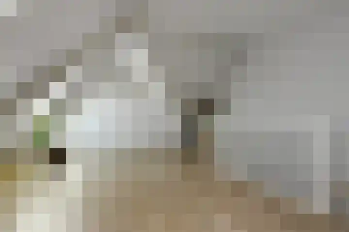 Luikap 1 Valburg thumbnail 30