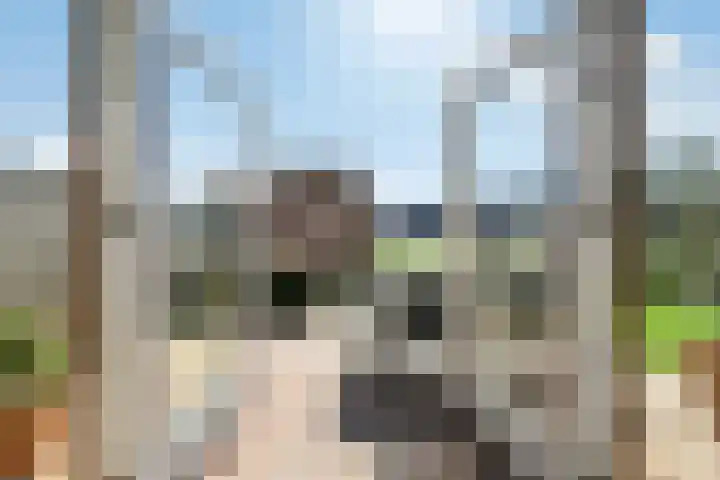 Luikap 1 Valburg thumbnail 33