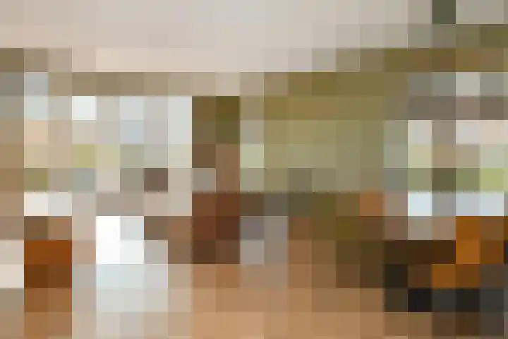 Luikap 1 Valburg thumbnail 6