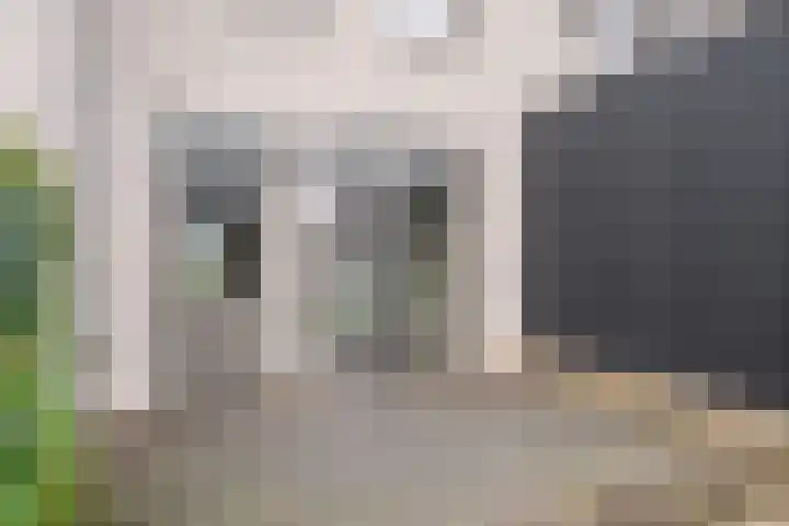 Luikens 5 Esbeek thumbnail 28