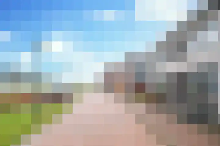 Luikens 5 Esbeek thumbnail 6