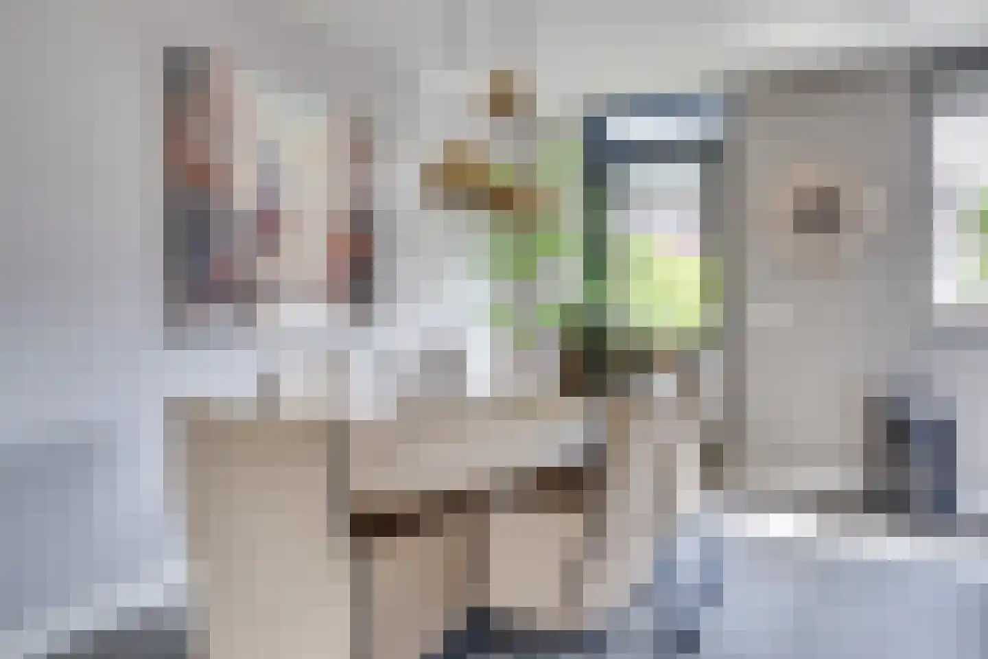 Luikens 7 Esbeek thumbnail 17