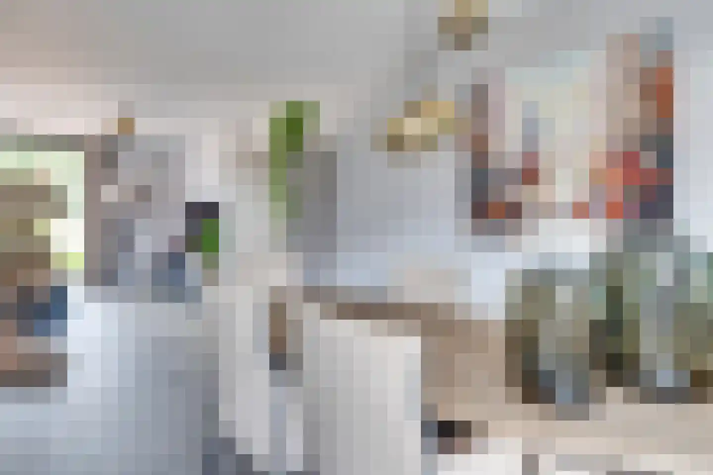 Luikens 7 Esbeek thumbnail 18