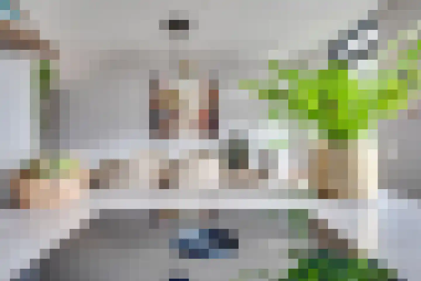 Luikens 7 Esbeek thumbnail 23