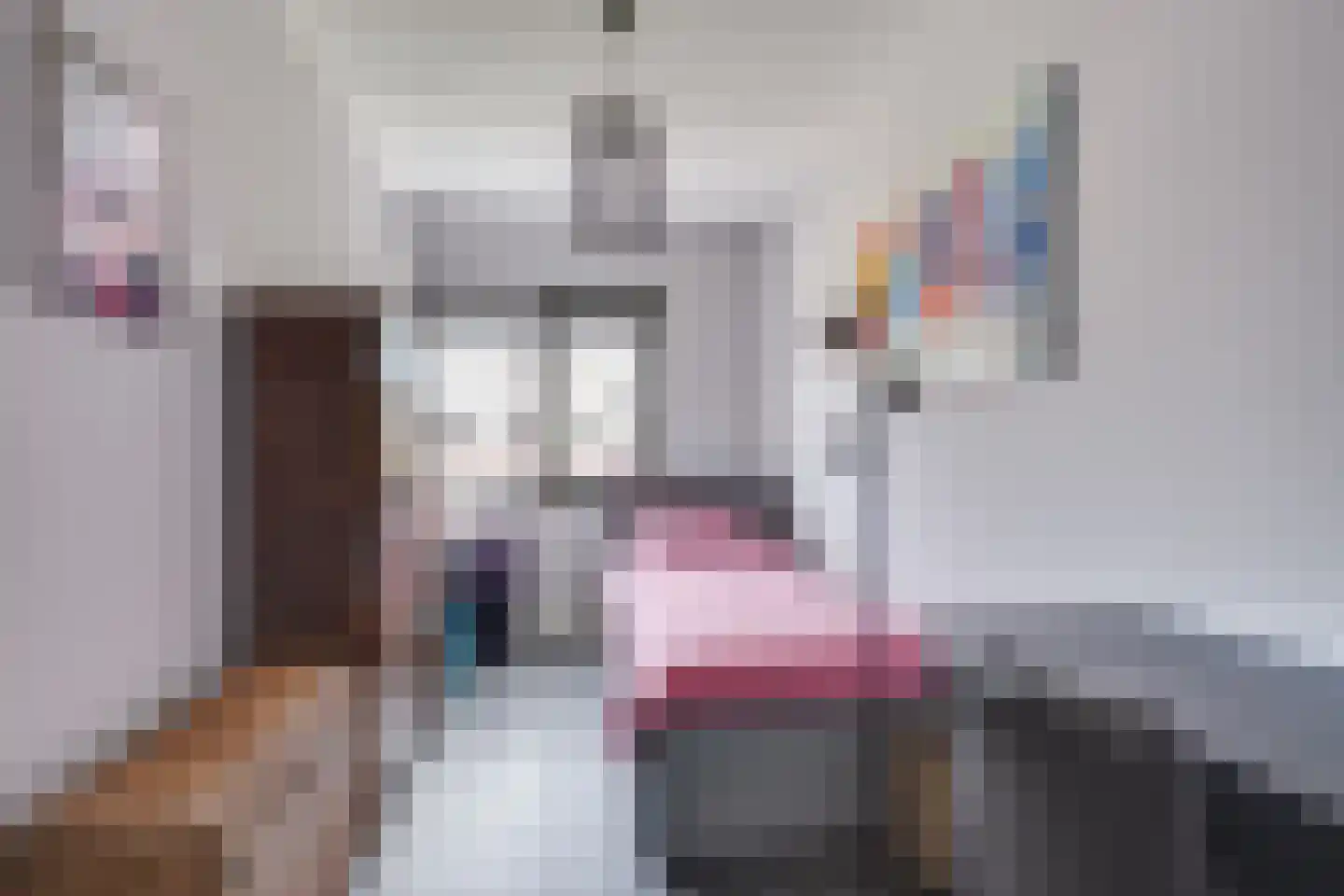 Luikens 7 Esbeek thumbnail 33