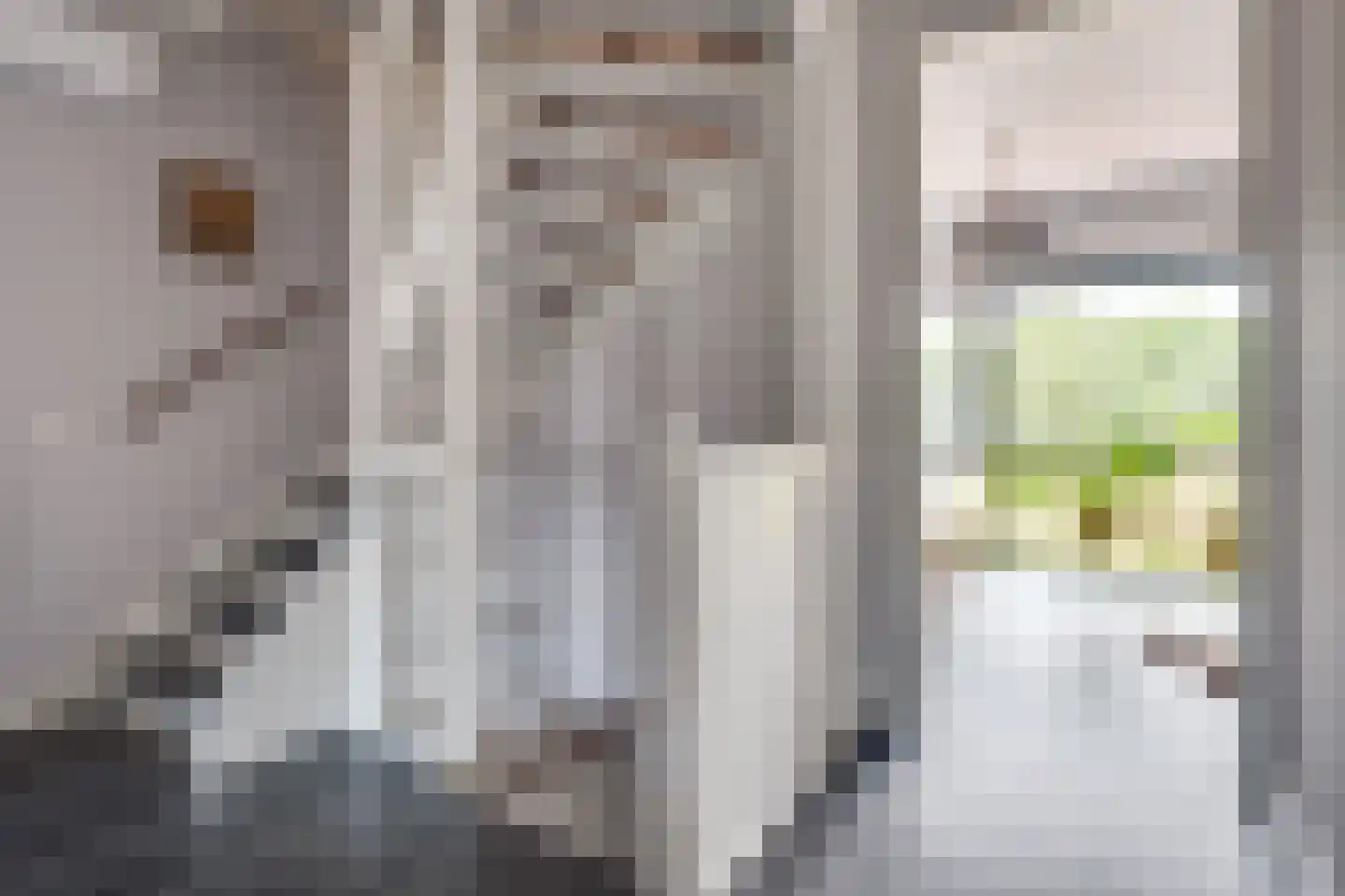 Luikens 7 Esbeek thumbnail 34